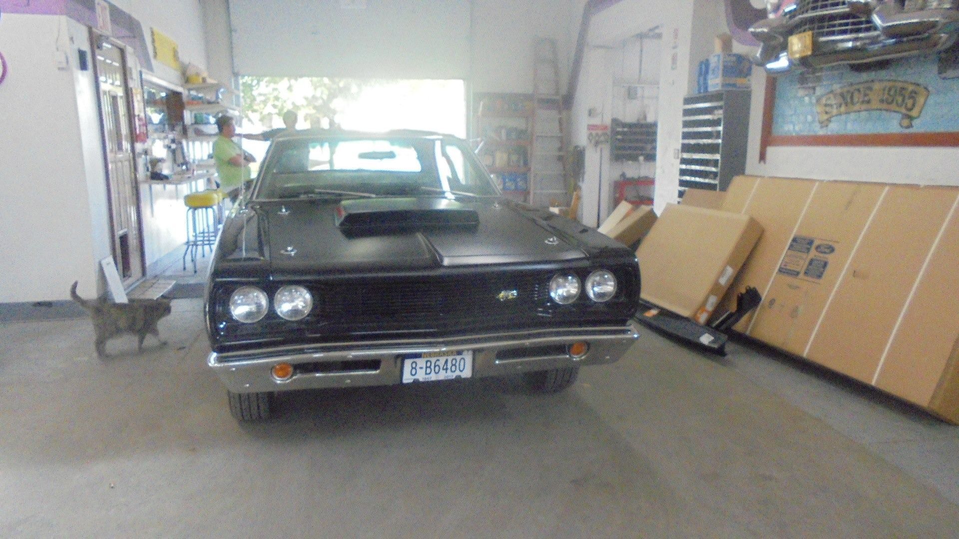 Black classic car in a garage with open door, cat, person in green shirt.