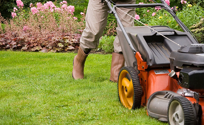 Gardener mowing the lawn