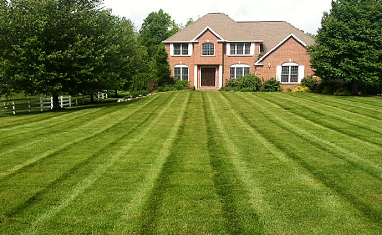 house with a beautiful lawn