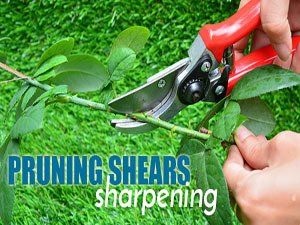 Pruning shears sharpening service