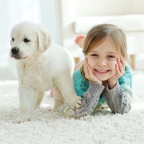 Happy little girl with a puppy