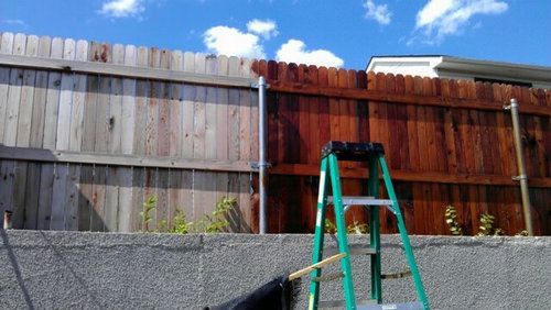 A wooden fence with a green ladder in front of it