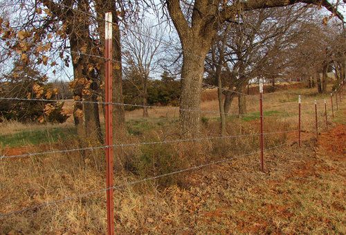 A barbed wire fence surrounds a field with trees in the background.