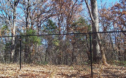 A chain link fence surrounds a lush green forest.