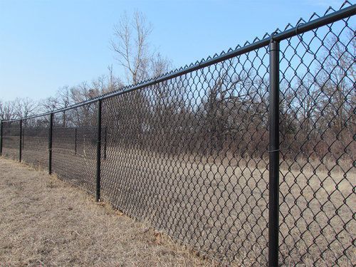 A chain link fence surrounds a field with trees in the background.