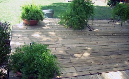 A wooden deck with potted plants on it