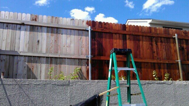 A green ladder is sitting in front of a wooden fence.