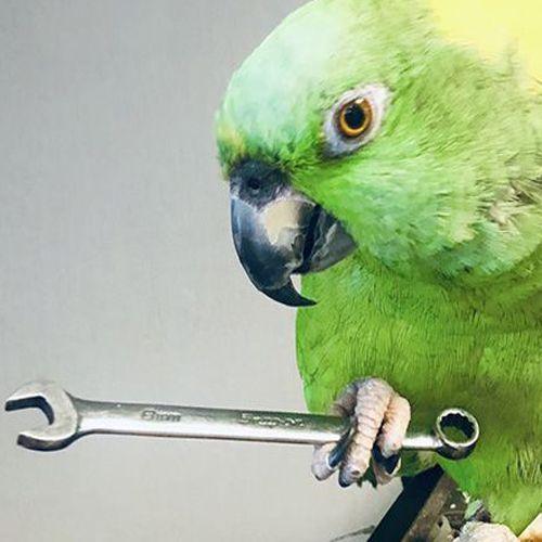 A green bird is holding a wrench
