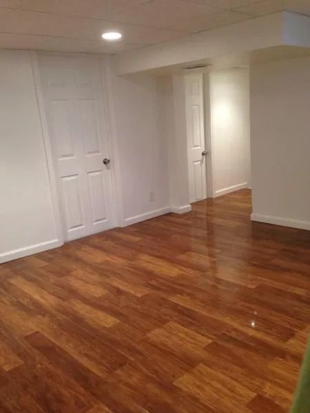 Empty room with wood-look flooring, white walls, two closed doors, and a ceiling light.