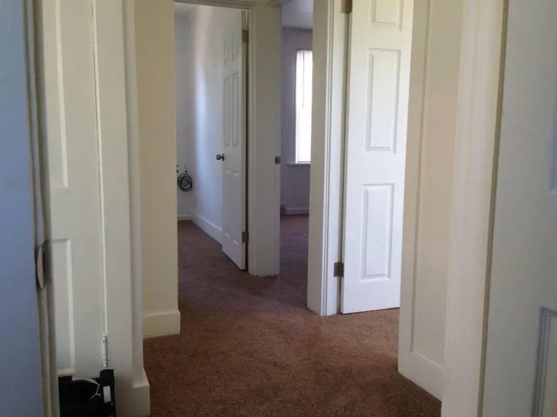 Hallway with three white doors and brown carpet.
