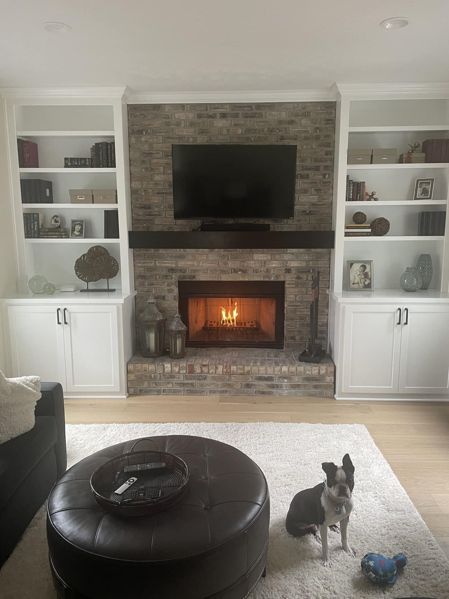 A dog is standing in front of a fireplace in a living room.