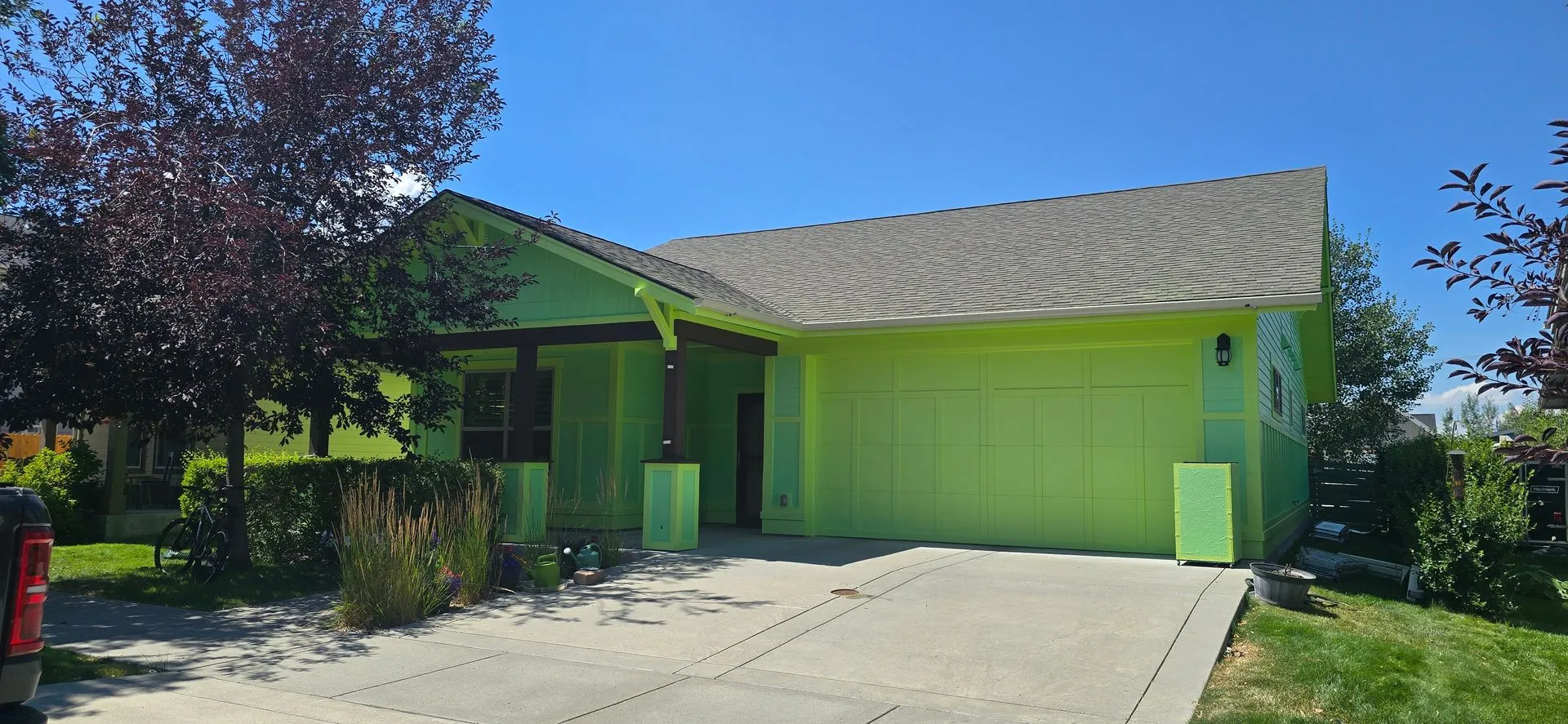 Another Peters Painting