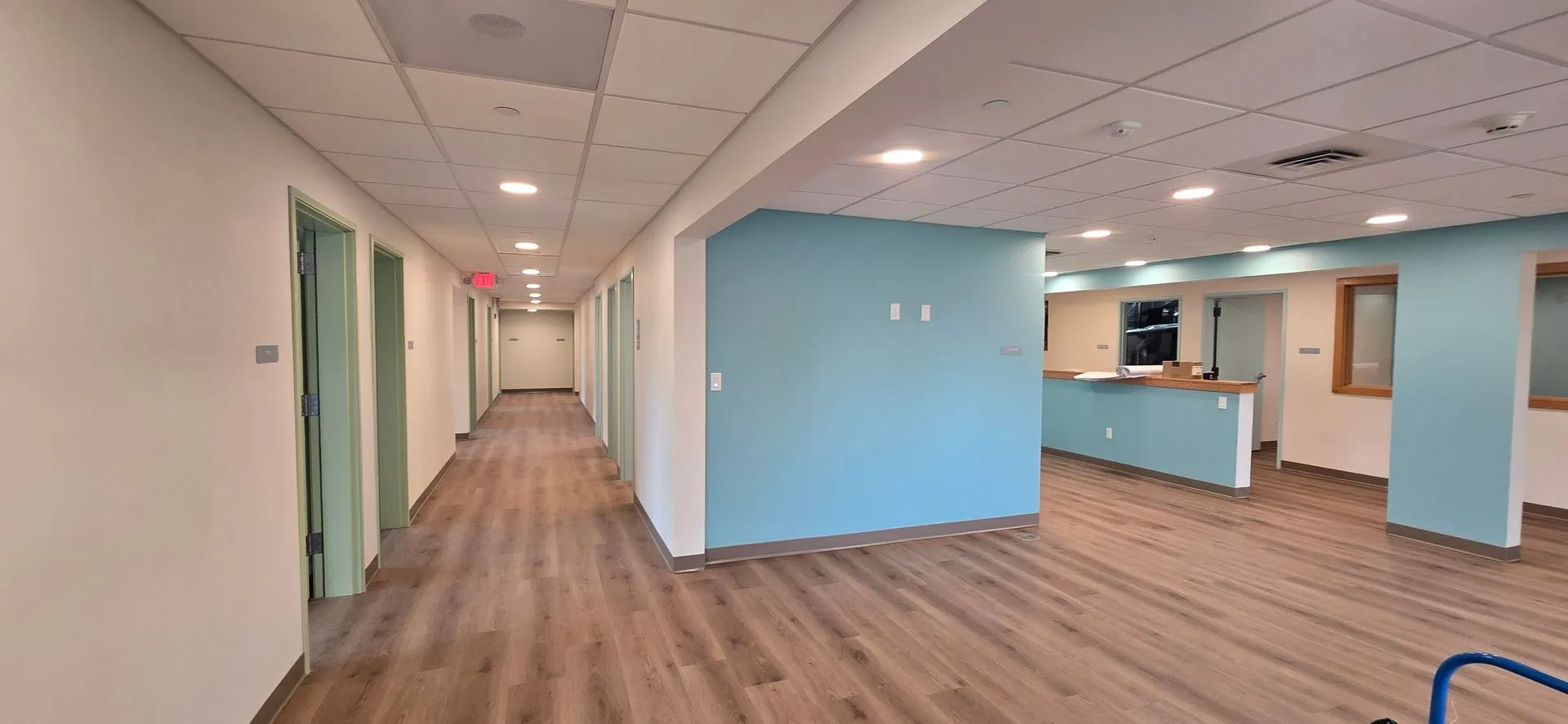 Another Peters Painting