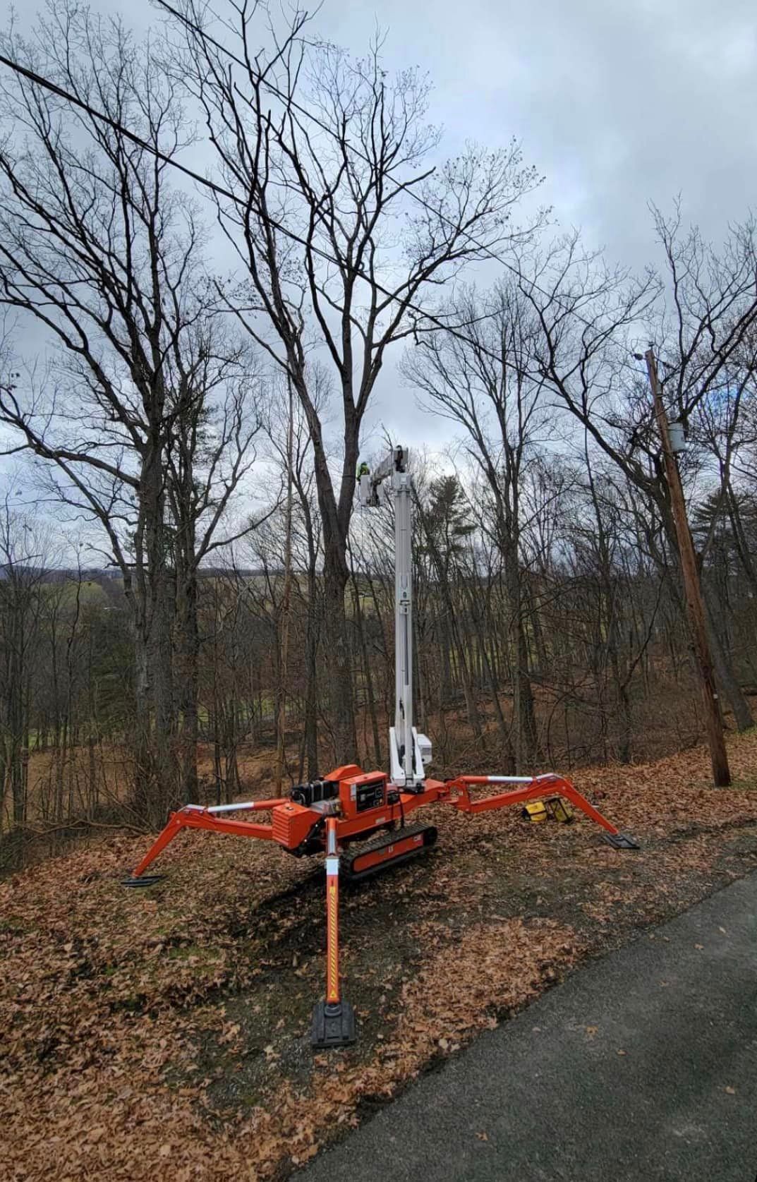 Tree Service