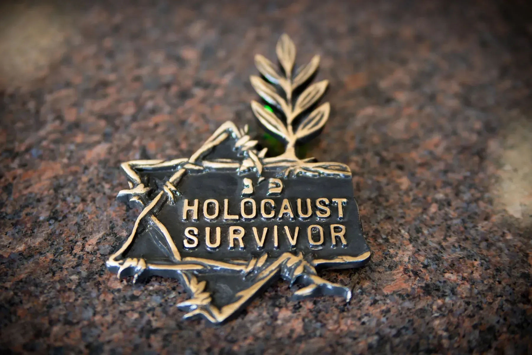 Gold Holocaust survivor lapel pin with Star of David on a dark textured background