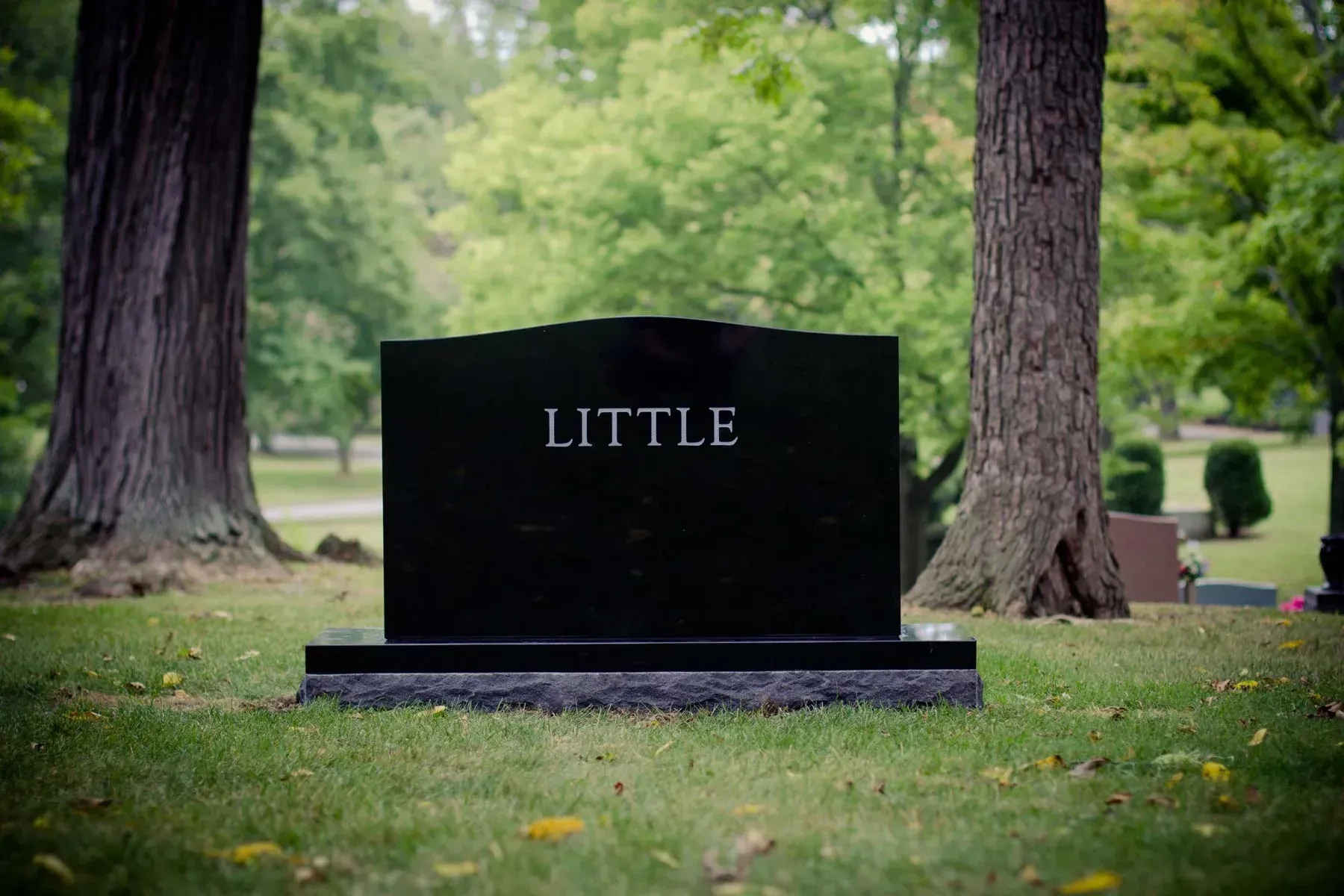 Black gravestone engraved “LITTLE” in a green cemetery with trees in the background
