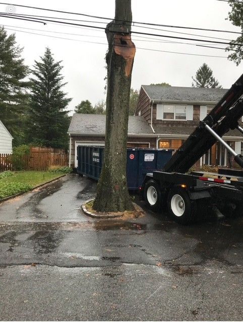 Dumpster and truck near a tree and house, on a wet driveway.
