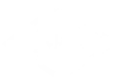 Reliant Roof Pros Logo