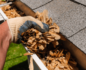 Gutter care