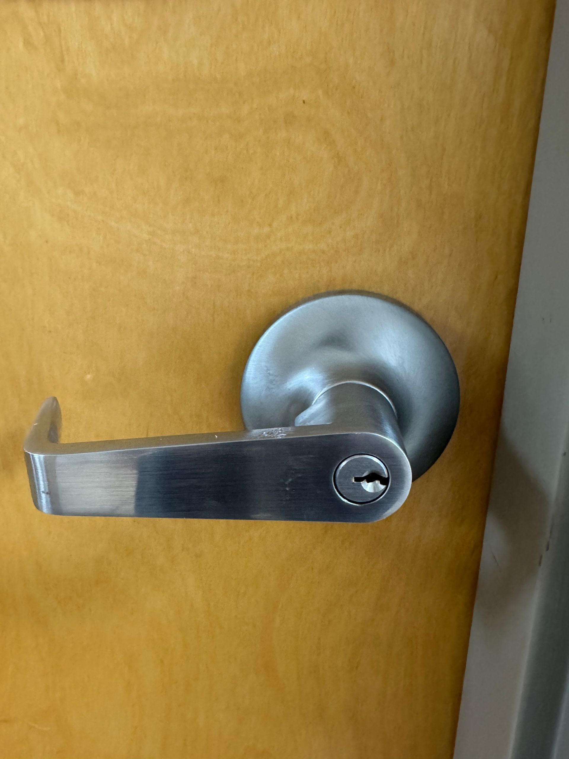 Close-up of a silver door handle on a wooden door with a round latch plate.