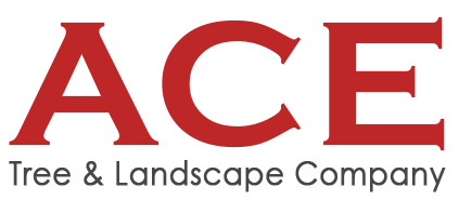 Ace Tree & Landscape Company - Logo