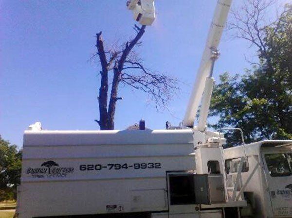 Tree services