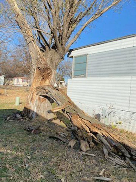 Storm damage cleanup