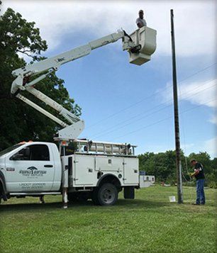 Tree trimming service