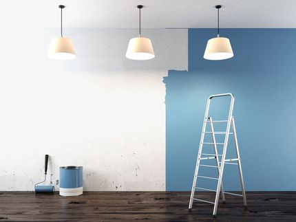Duck Painting Company