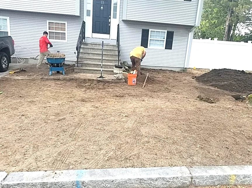 removing old grass