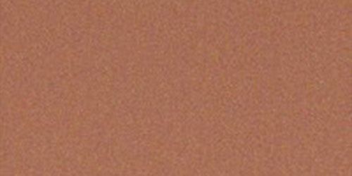 Close-up of a textured, reddish-brown surface. The texture appears rough and slightly granular.