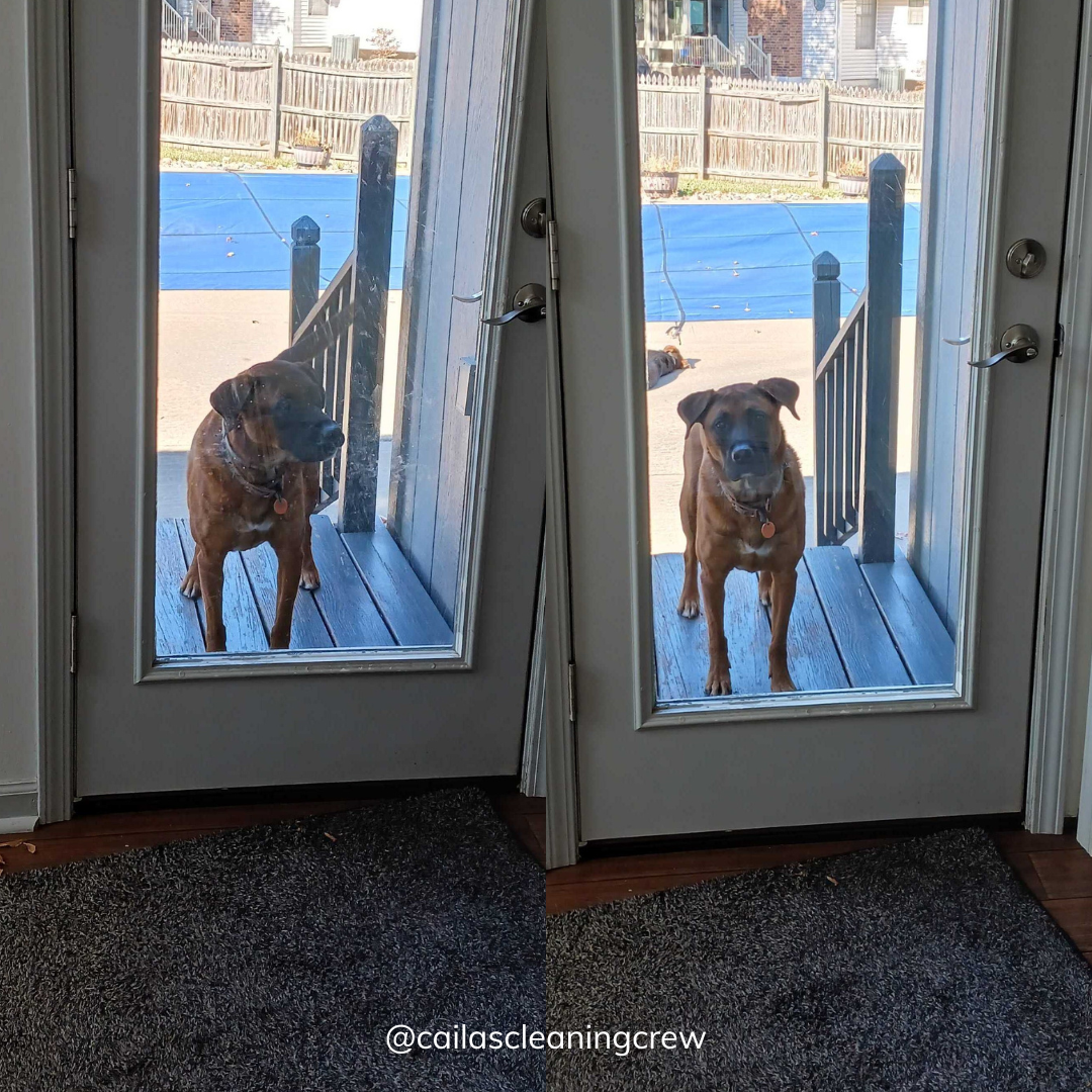before and after cleaning door window with dog
