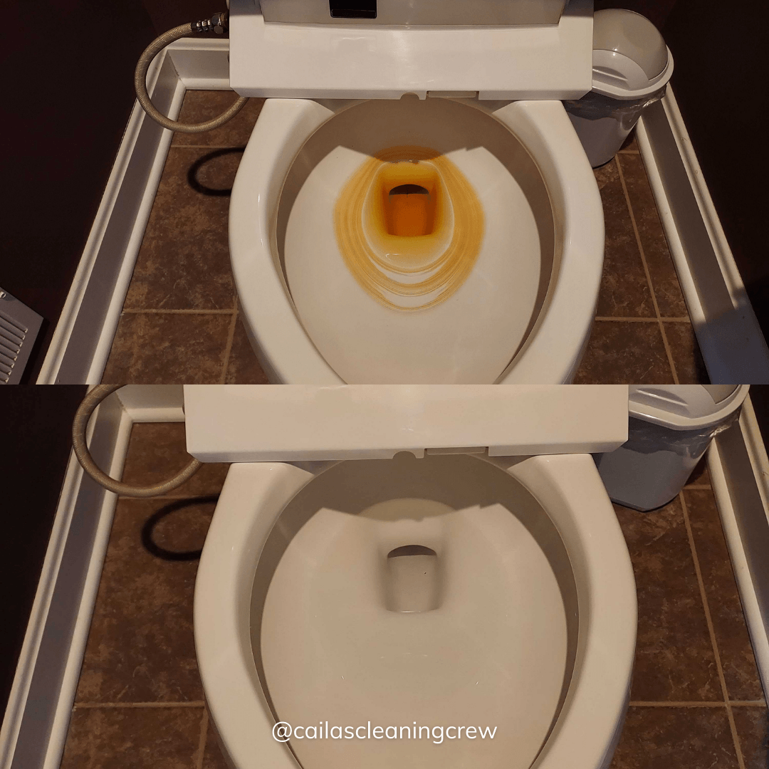 Caila's Cleaning Crew work