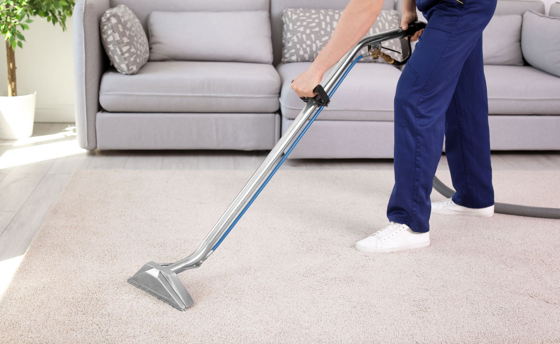 cleaning company vacuuming carpet