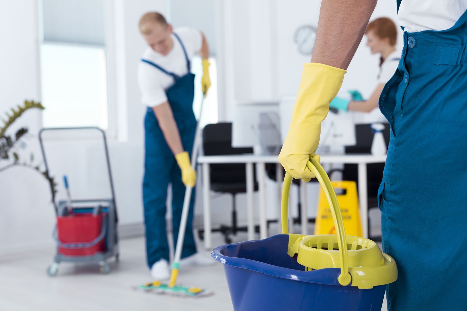 professional cleaning company in Lee's Summit, MO