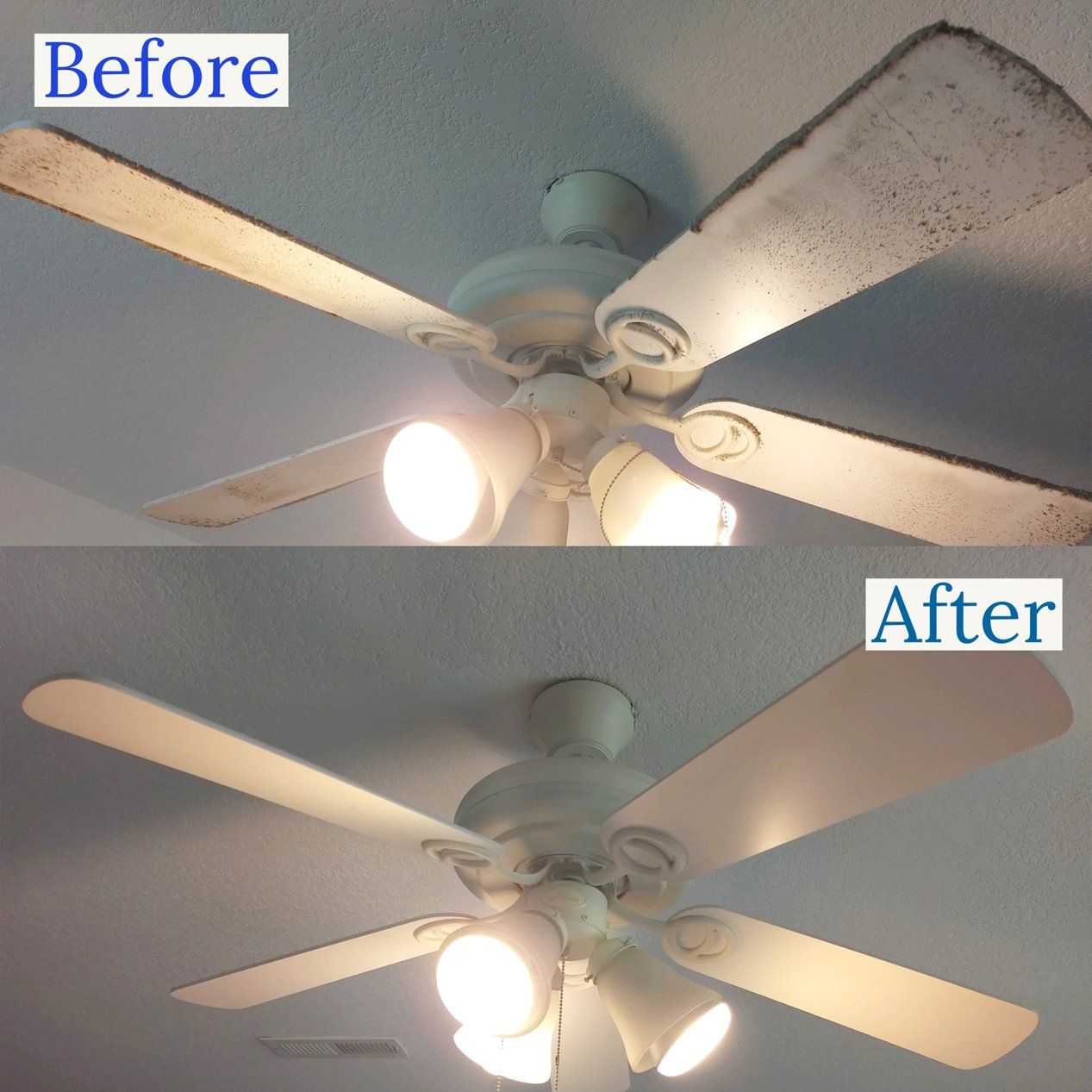 Caila's Cleaning Crew work