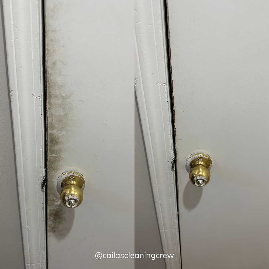 Caila's Cleaning Crew work