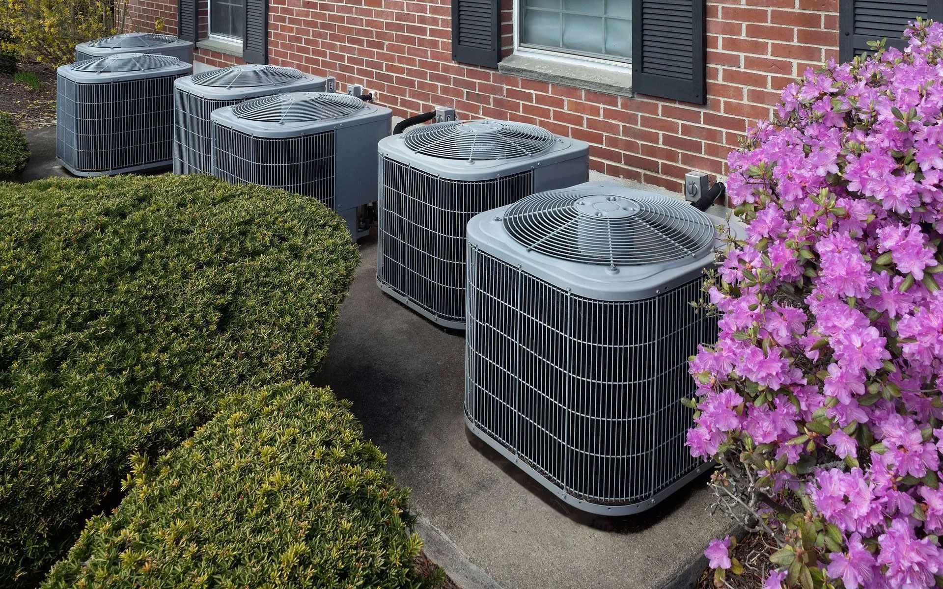 A row of four grey outdoor air conditioning units on a concrete pad next to a brick building and pink flowering bushes.