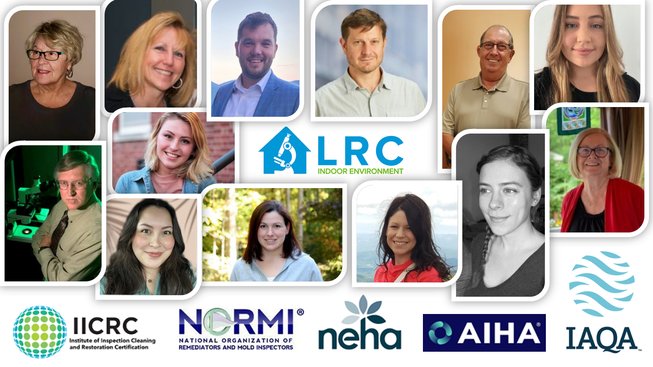 Collage of headshots around LRC, with partner organization logos along the bottom on a white background
