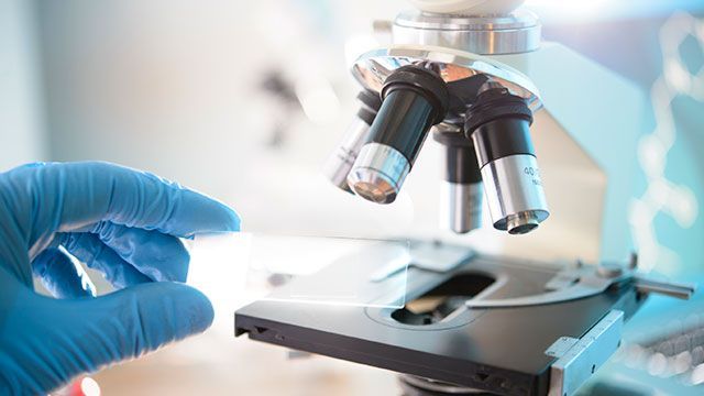 Gloved hand adjusting a microscope in a bright laboratory
