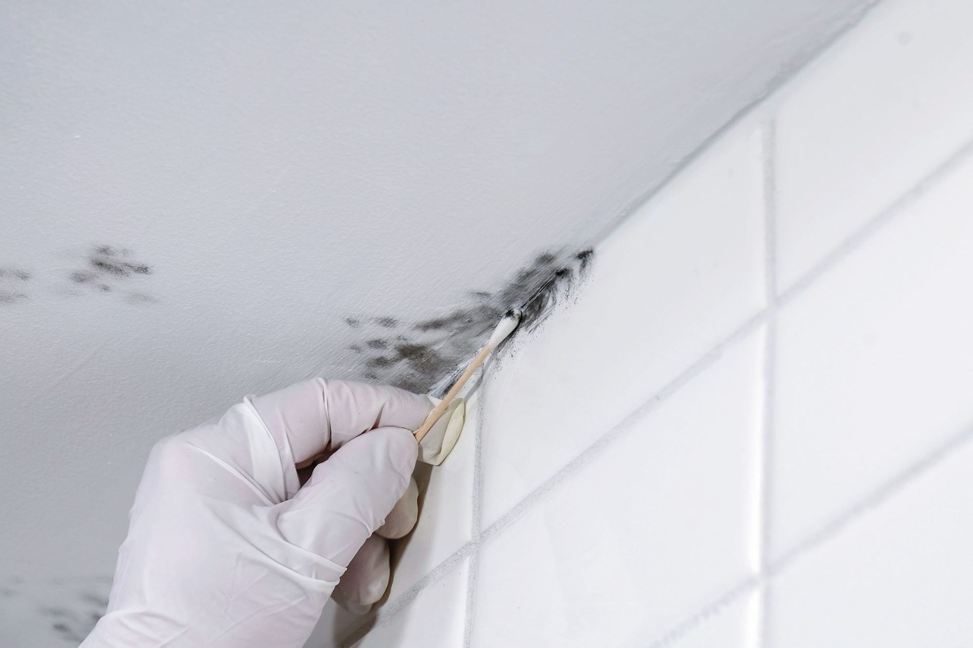 Gloved hand scraping mold from a ceiling corner above white wall tiles