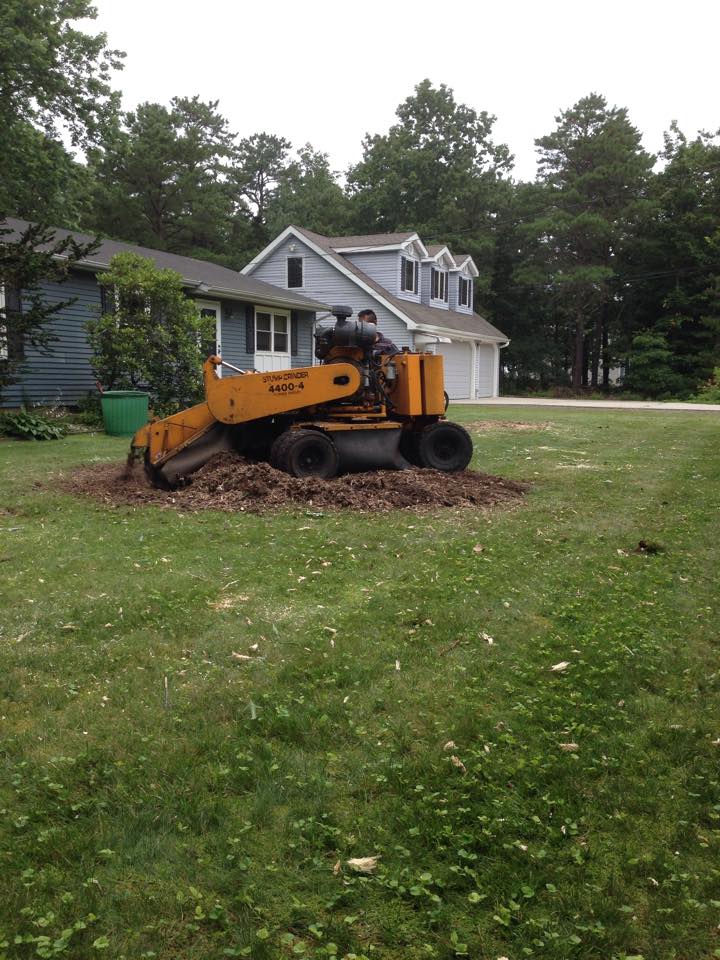 Stump Grinding