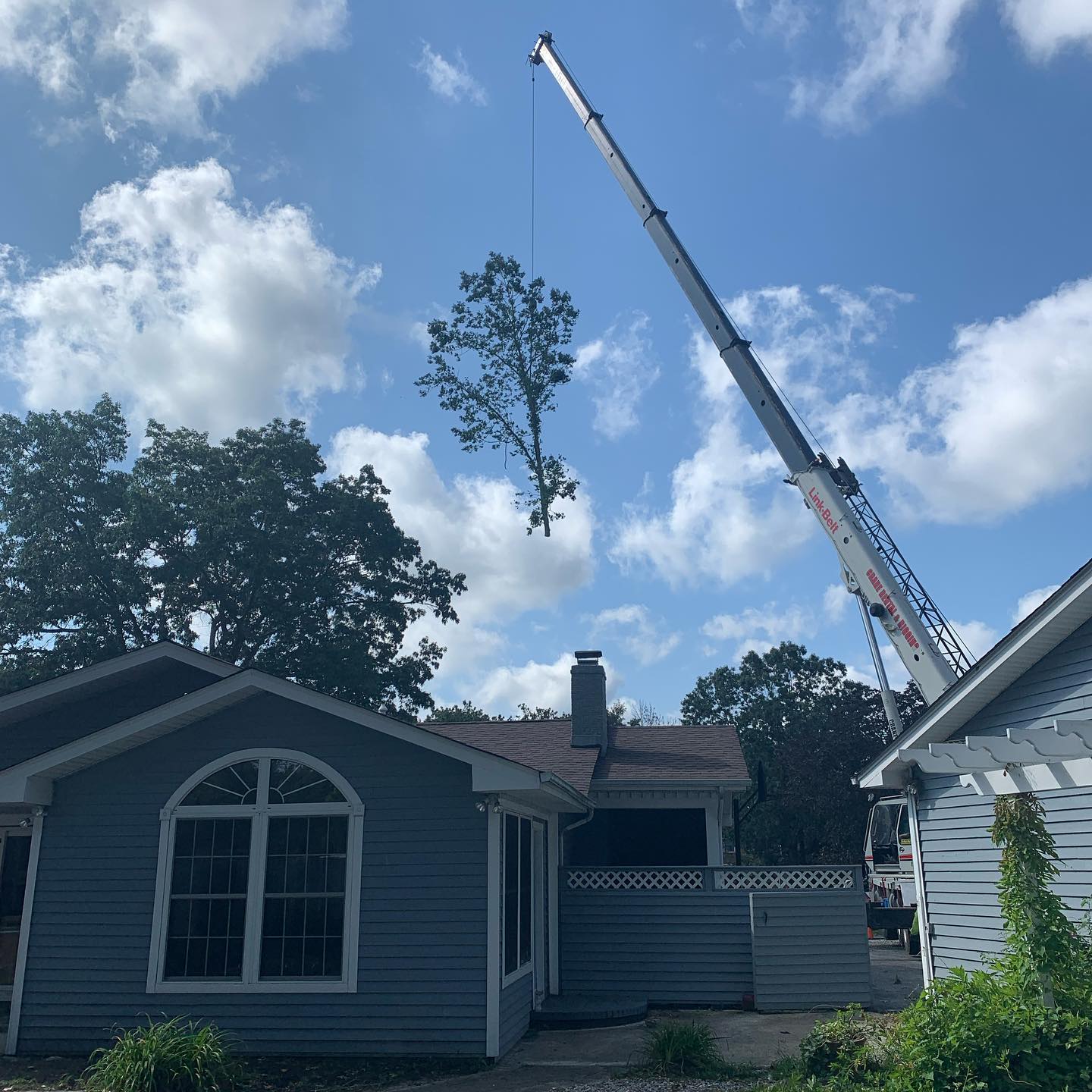 Tree Removal
