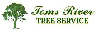 Tree Service Toms River NJ