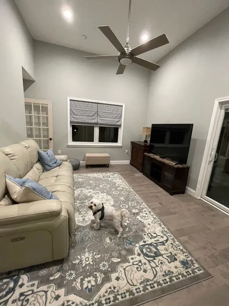 Bright living room with beige sofa, patterned rug, TV console, ceiling fan, and small dog on the floor