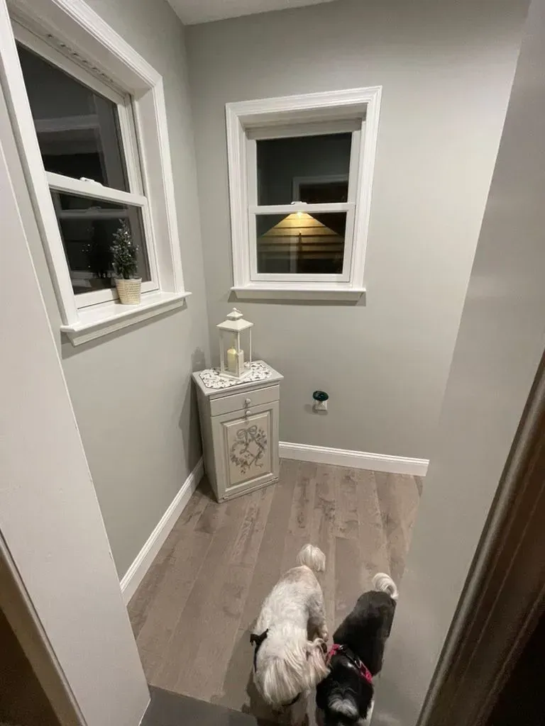Two small dogs in a narrow hallway with light wood floors and two windows.