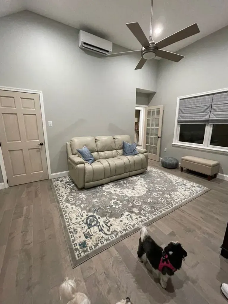 Living room with beige sofa, patterned rug, ceiling fan, windows, and a small dog in a red harness.