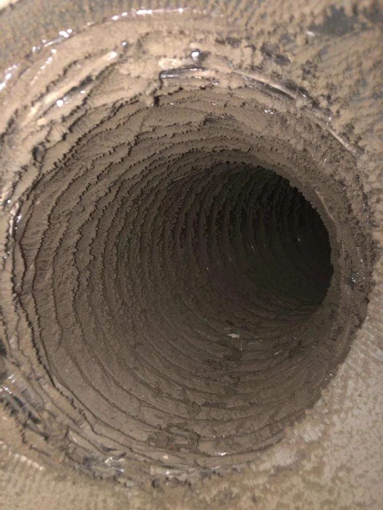 Close-up of a rough, round tunnel opening in dirt or concrete, showing a dark interior.