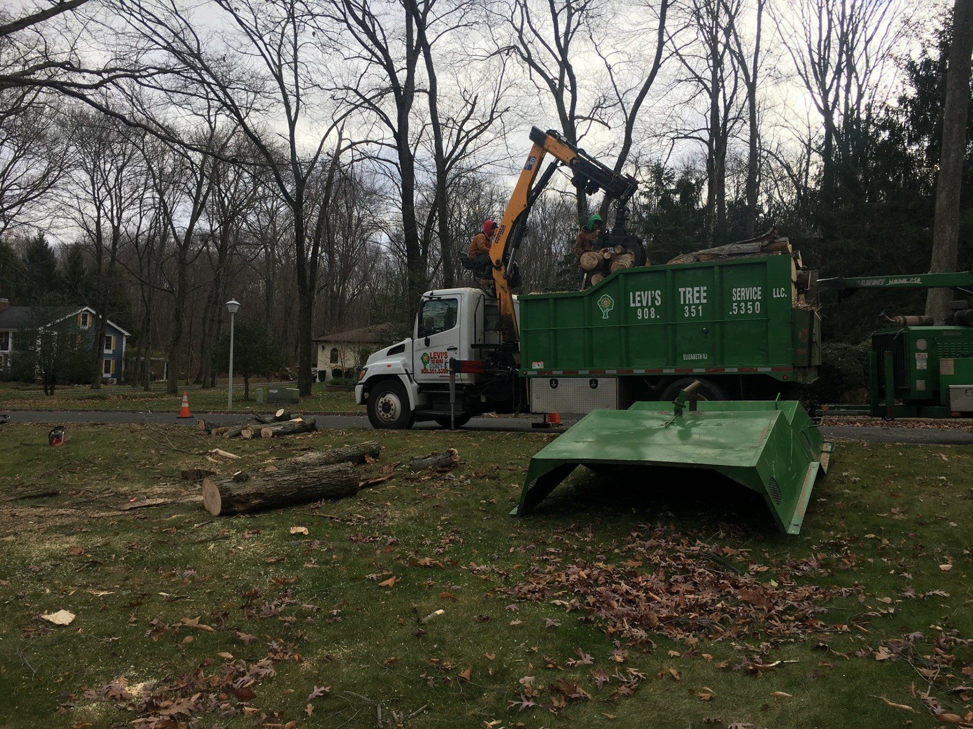 Tree removal services