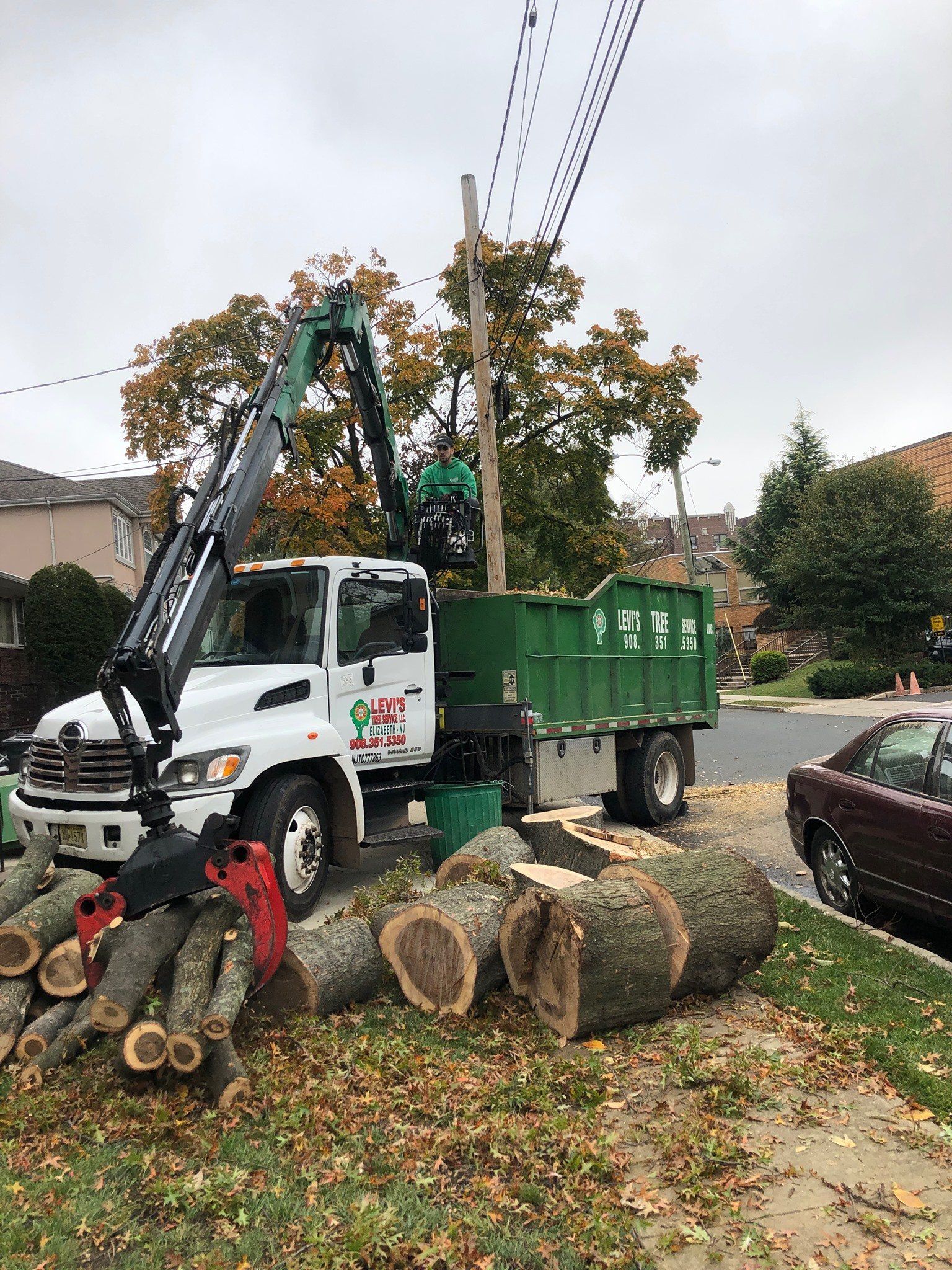 Tree removal services